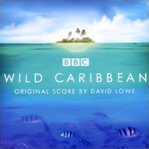 Wild Caribbean