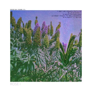 FIRST TRAIN TO BELLADONNA