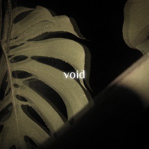 Void