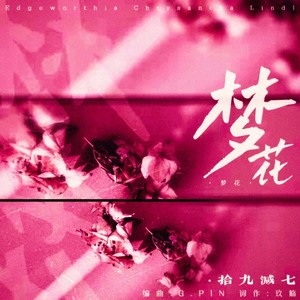 梦花