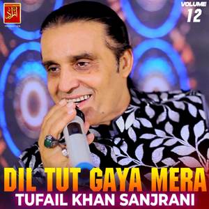 Dil Tut Gaya Mera, Vol. 12