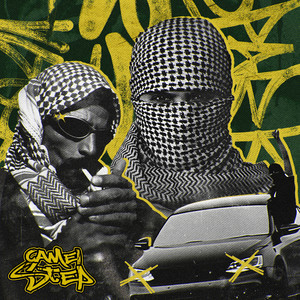 camel step (Explicit)