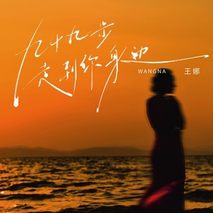 王娜 - 九十九步走到你身边