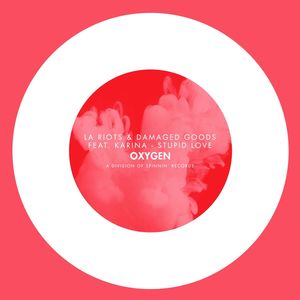 Stupid Love (feat. Karina) (Extended Mix)