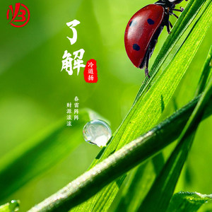 了结
