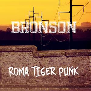 Roma Tiger Punk