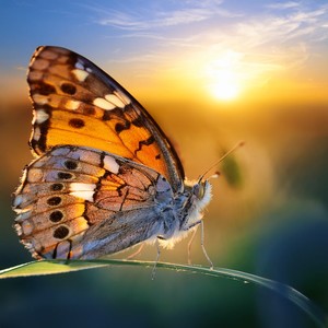 The Light Of Every Moment