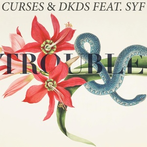 Trouble (Shiba San Remix)