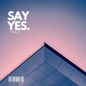 Say Yes, Vol. 5