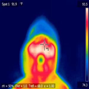 WHATEVERITTAKES (FT. londonq) (Explicit)