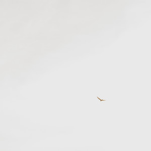 Без названия