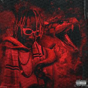 Titanoboa (Explicit)