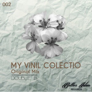 My Vinil Colectio