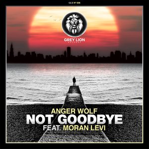 Not Goodbye