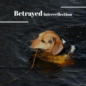 Betrayed Interreflection