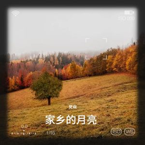家乡的月亮
