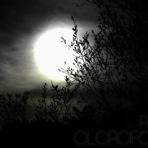 FUEGO (feat. OSCAR MEYER) (Explicit)