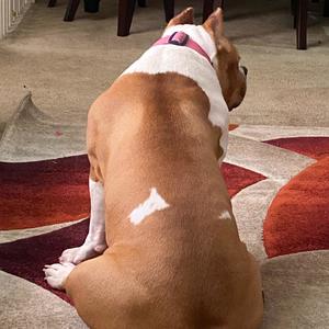 By Any Means (Explicit)