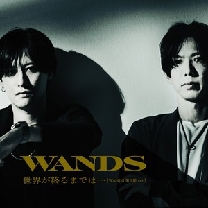 世界が終るまでは… (直到世界尽头) (WANDS第5期ver.)