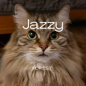 Jazzy