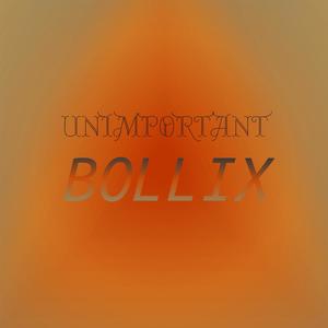 Unimportant Bollix