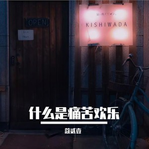 这场名叫人生的旅途 - 寇一碗粥封面