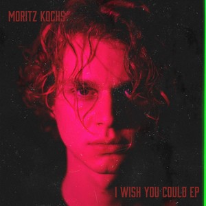 I Wish You Could - EP