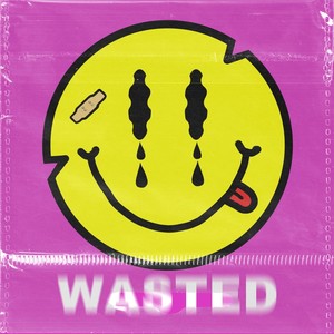 Wasted (Explicit)