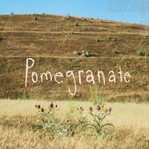 Pomegranate (Demo)