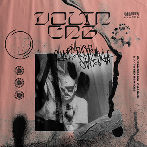 Inspektor Krause (Panorama Channel Remix)