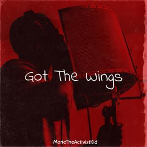 Got The Wings (Explicit)
