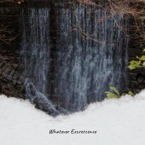 Whatever Excrescence