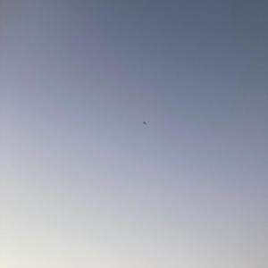 GRASS BLADES (feat. PSAP)