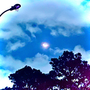 Crush (for the free) (Explicit)