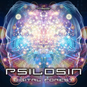 Digital Forest (Original Mix)