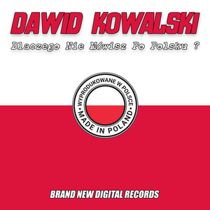 Dlaczego Nie Mówisz Po Polsku ? (Ekstraszybki Remiks)