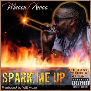 Spark Me Up (feat. J. Pesos, Will Haze & Vex Cobo) [Explicit]