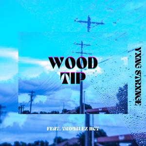 WoodTip (feat. TroubleZ H.C.T) [Explicit]