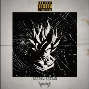 Riddim Saiyan