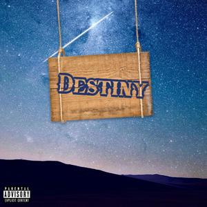 Destiny (Explicit)