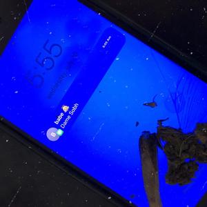 Dame Sobh (Explicit)