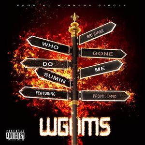 WGDMS (feat. Promise4Mo) [Explicit]