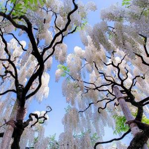 Talk It Out(feat. Roan) (Explicit)