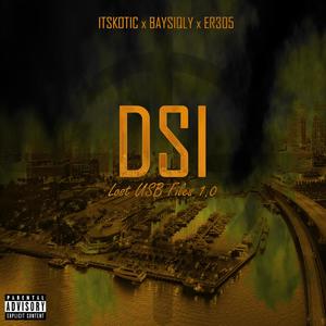 DSI (Lost USB Files 1.0) [Explicit]