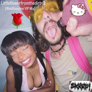 Littleflowerfromthedirt<3 (feat. WatAboutme) (WatAboutme VIP Mix SPED UP|Explicit)