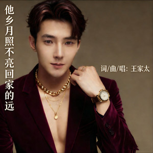 他乡月照不亮回家的远 (伴奏)