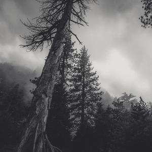 buried in temptation (Explicit)