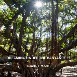 Dreaming Under The Banyan Tree (feat. Will Ackerman, Charlie Bisharat, Eugene Friesen, John Curtis, Tom Eaton & Noah Wilding)