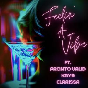 Feelin' A Vibe (feat. Pronto Valid, Kay9 & ThisIsClarissaUK) [Explicit]