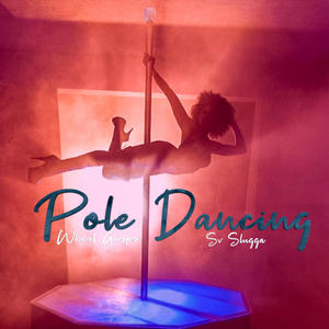 Pole Dancing (feat. Sv Slugga) [Explicit]